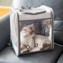 Wayfair cat outlet carrier